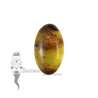 Chiapas Amber 20mm Cabochon