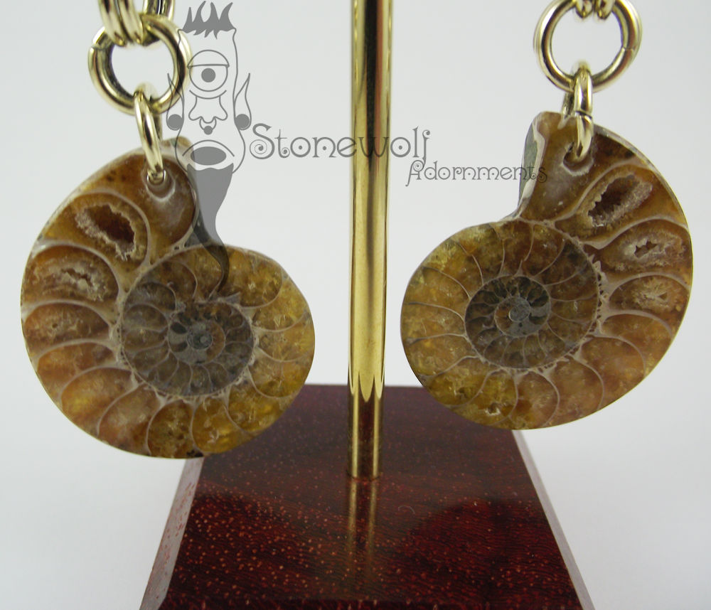 Ammonite Fossil Brass Weights - Ready To Ship - Click Image to Close