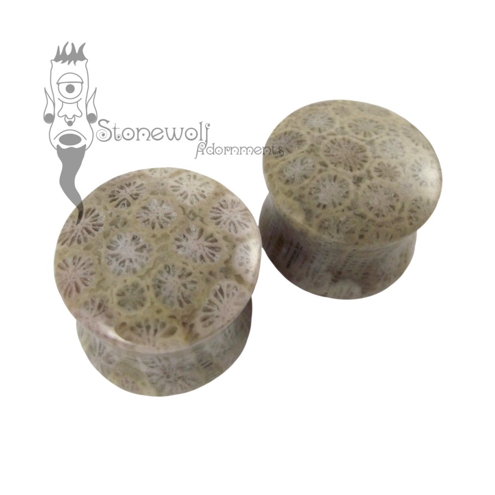 Pair of Fossilized Coral Stone Plugs Double Flared Made to Order - Click Image to Close