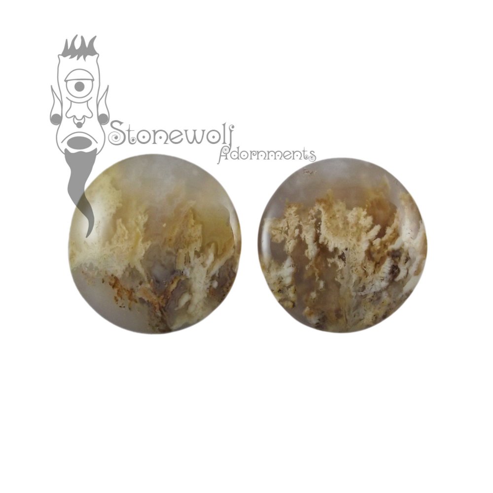 Pair of Graveyard Plume Agate Plugs Double Flared Made to Order