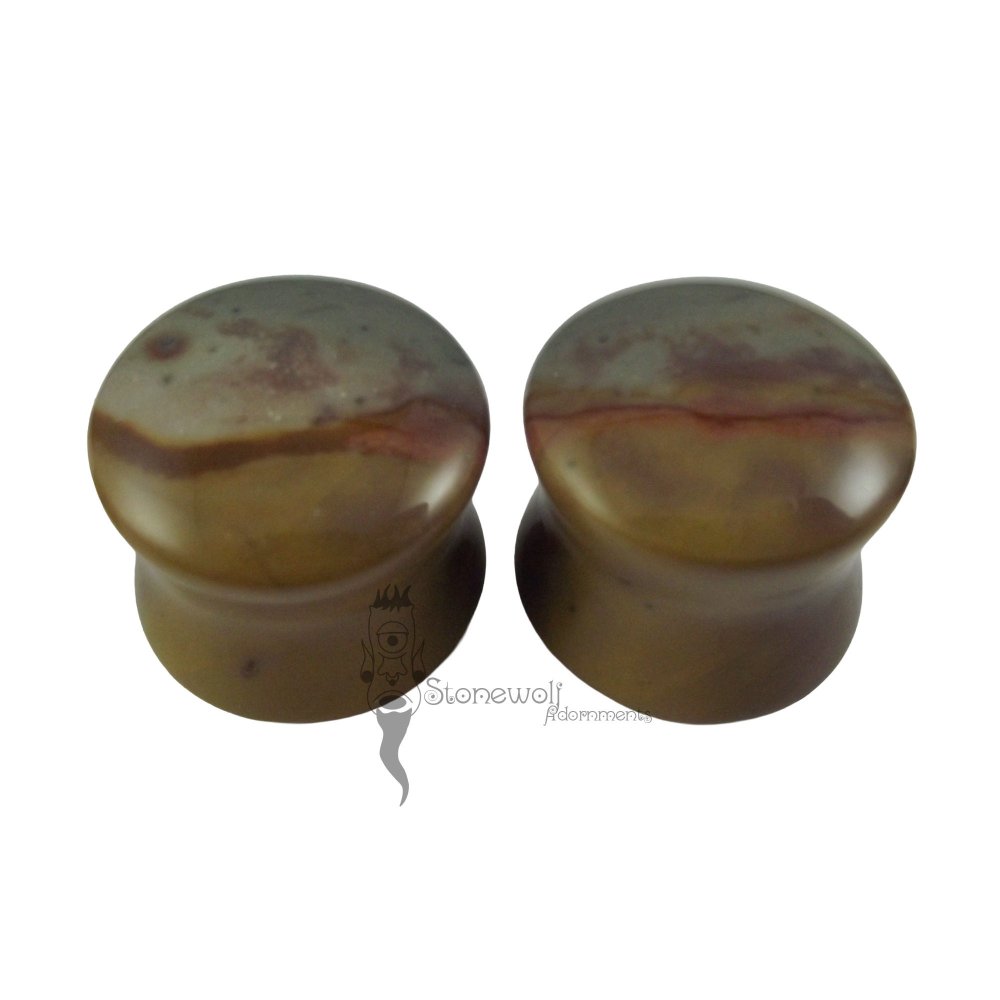 Pair of Polychrome Jasper Stone Plugs Double Flared