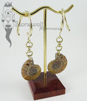 Ammonite Fossil Brass Weights - Ready To Ship