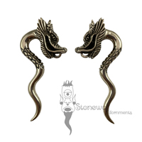 Pair of Bronze Dragons Ear Weights