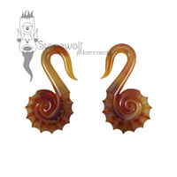 Gorilla Glass Amber Purple Nautilus Spiral Ear Weights