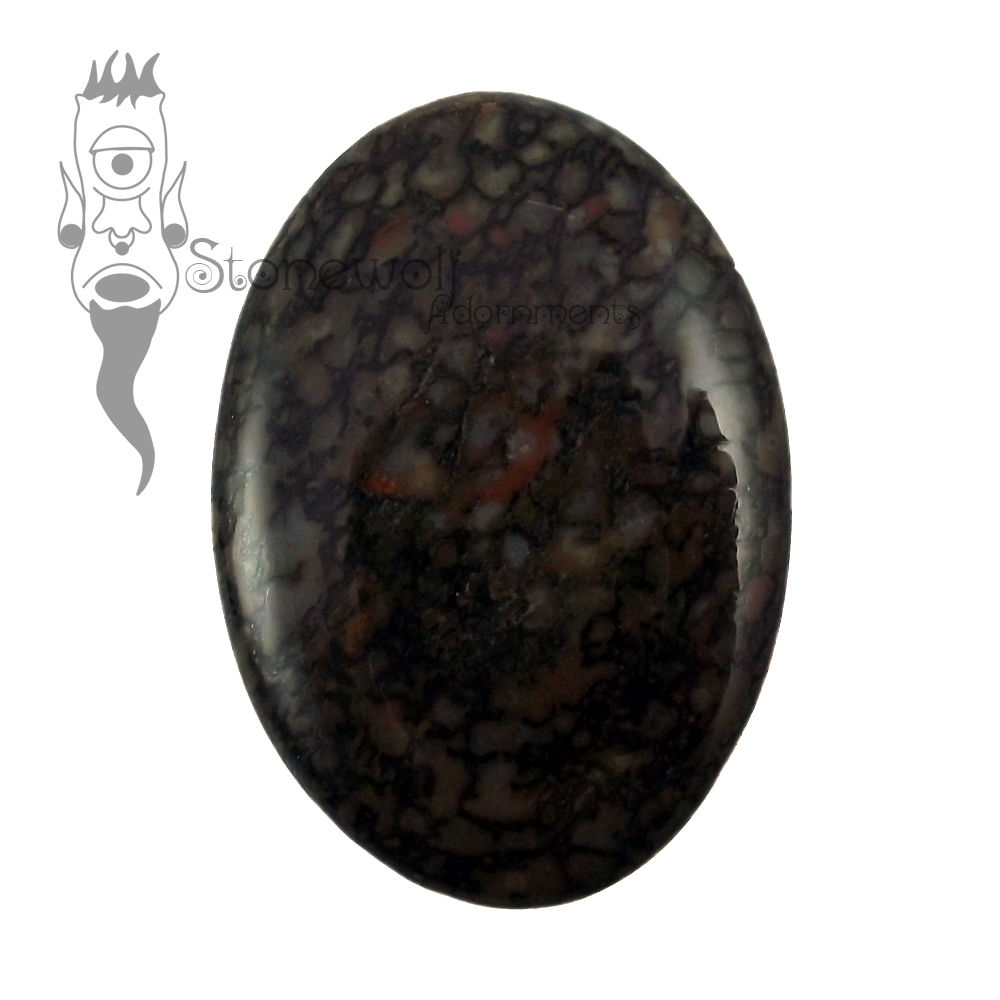 Dino Bone 33mm Cabochon